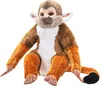 A plush toy squirrel monkey sitting against a white background. Produktbild-Vorschau