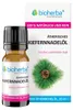Esenciálny olej borovica – 10 ml – Bioherba Náhľad obrázku produktu 1