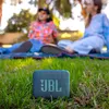 Two people sitting on a blanket in the grass with a JBL speaker in the foreground. Voir les images du produit