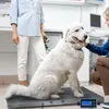 Balance numérique pour animaux XL Balance vétérinaire Voir les images du produit 7