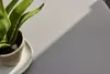 A potted plant sits on a light gray surface with a shadow cast across it. Produktbild-Vorschau