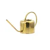 Kikkerland WC01, Gold Produktbild-Vorschau 1