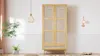 A wooden wardrobe with rattan mesh doors is shown in a well-lit room with decorative elements. Anteprima dell’immagine prodotto