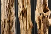 riess-ambiente Naturbelassene Skulptur REEF 125-150cm natur Produktbild-Vorschau 8