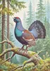 Puzzle Raxxa Premium « Grand tétras – oiseau d'Europe », 1 Voir les images du produit 2