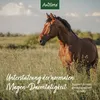 Aniforte Semi di psillio indiani - 3 chilogrammi Anteprima dell’immagine prodotto 11