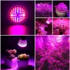 A collage of images showing a plant grow light and plants under its illumination. Náhľad obrázku produktu
