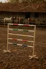 Hobby Horse Hurdle 120 cm avec barres vertes et roses pour Voir les images du produit 7