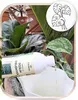 Flüssigdünger für Zimmerpflanzen 300ml - Monstera und Produktbild-Vorschau 3