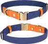 Hundeleine & Halsband Set aus Nylon mit Leder – robust, Produktbild-Vorschau 2