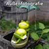 Süße Solar Frosch Figur, Outdoor Garten Dekoration, Solar Produktbild-Vorschau 3