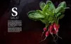 Zuhause kochen und genießen Produktbild-Vorschau 3