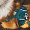 Ruffwear 3072-444S, Hund, Zugfreier Gurt, S, Türkis, Nylon, Produktbild-Vorschau 4