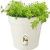 Elho Anzuchttopf  Green Basics weiß Ø 24cm Produktbild-Vorschau 3