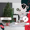 KOTARBAU® Stojan na vánoční stromek s nádrží na vodu Náhled obrázku produktu 8