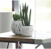 Two white planters with wavy patterns are placed on a wooden table in front of a window. Náhled obrázku produktu