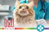 5x PH CONTROL Einweg-Katzenklo, Bentonit-Katzenstreu mit Produktbild-Vorschau 14