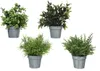 Kaemingk 001116032 Produktbild-Vorschau 1