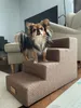 Gradini per cani, per animali malati e anziani, ausilio per Anteprima dell’immagine prodotto 8