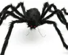 200cm Riesen Spinne Tarantula Plüsch Schwarz Halloween Deko Produktbild-Vorschau 6