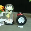 Montessa Ewige Rose im Glas mit LED-Licht, "Die Schöne und Produktbild-Vorschau 3