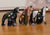 Horse Club Sofia's Beauties Beauty Horse Achal Tekkiner Produktbild-Vorschau 7