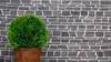 Mosaik Fliese Marmor Naturstein grau anthrazit - schwarz Produktbild-Vorschau 2
