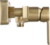 A close-up studio shot of a gold-colored shower valve. Produktbild-Vorschau