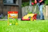 Rasen-Langzeitdünger WOLF Garten 'Super' 2 kg für 100 m² Produktbild-Vorschau 8