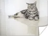 MuchoWow® Poster Gestreifte American Shorthair 80x60 cm - Produktbild-Vorschau 1