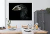 MuchoWow® Poster Vogel - Porträt - Hornvogel - Schwarz - Produktbild-Vorschau 3