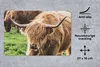 MuchoWow® Mauspad Mousepad Schottische Highlander - Tiere - Produktbild-Vorschau 2