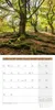Bäume Kalender 2027 - 30x30 - Art12 Produktbild-Vorschau 4
