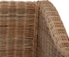 vidaXL Sessel mit Auflagen Natur Rattan -  Sessel Produktbild-Vorschau 13