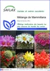 SAFLAX  - Mélange de Mammillaria - 40 graines - Mammilaria Voir les images du produit 1