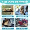 Dracarys Katzen hängematte Fenster | für große Katzen bis Produktbild-Vorschau 4