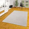 Hochflor Velours Teppich Weich Modern Einfarbig, Produktbild-Vorschau 5