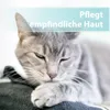 Felisept Hautpflegespray für Katzen 250ml - Milbenspray Produktbild-Vorschau 7