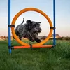 Zestaw do agility Relaxdays, dla psów, 76 elementów, Podgląd zdjęcia produktu 3
