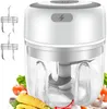 Elektrisch Zerkleinerer Küche, 250ML Mini Knoblauchhacker Produktbild-Vorschau 1