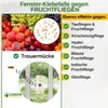 Fenster Fruchtfliegenfalle mit Spezial-Lockstoff – 3x Produktbild-Vorschau 2