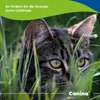 Canina Rinderfettpulver, Snacks, Katze / Hund, Adult, 500 g Produktbild-Vorschau 2