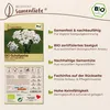 Samenliebe  Schafgarbe Samen | Wildblume - winterhart & Produktbild-Vorschau 3