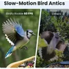 Birdfy Rookie Lite vogelhuis met camera (abonnement voor Productafbeelding-voorbeeld 11