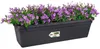 elho green basics Balkonkasten 50cm - lebhaft schwarz Produktbild-Vorschau 7