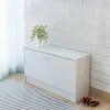 A white shoe cabinet against a white brick wall with a rug in front and a vase of flowers on top. Anteprima dell’immagine prodotto