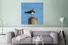 MuchoWow® Poster Vogel - Tiere - Pfahl - Blau - Kiebitz Produktbild-Vorschau 5