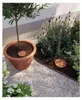 Aquaterra, vaso in terracotta da 5 litri, sistema di Anteprima dell’immagine prodotto 2