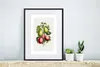 MuchoWow® Gerahmtes Poster Lebensmittel - Feigen - Pflanze Produktbild-Vorschau 6