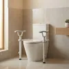 SAT - Corrimano di sicurezza per WC con ausilio per Anteprima dell’immagine prodotto 1